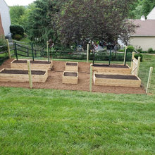 Vegetable Garden Ideas
