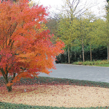 Hertfordshire Garden