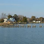 Debra Fields's photo