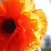 Troy Michell's photo