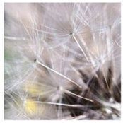 Bronwyn Pinney's photo