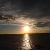 Donna Deardorff's photo