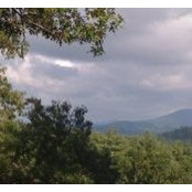 Betsy Pruett's photo