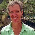 California Native Landscape Design's profile photo