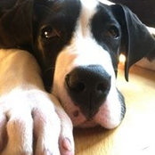 Katie Hellerman's photo