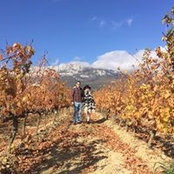 Erin Krieger's photo