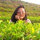 shrestha_summi