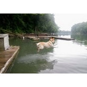 Chris Cady's photo