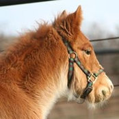 Candice Young's photo