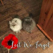 Judith Patterson's photo