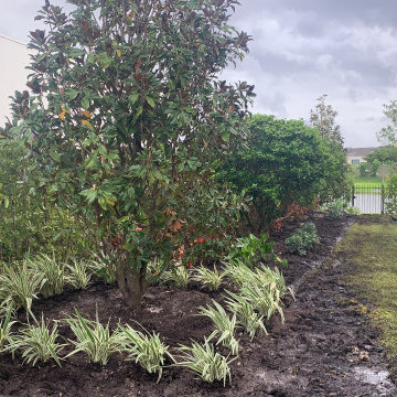 LANDSCAPING BEAUTY process