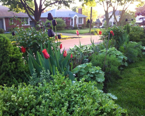 Creating Perennial Garden