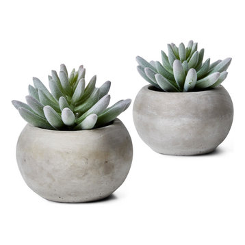 Flocked Finger Succulent In Cement Pot, 4"x4", Set of 2