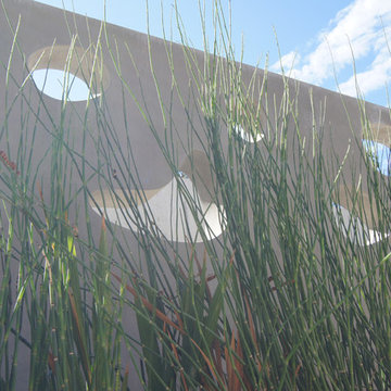 FineLine Custom Home Landscape