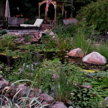 Ponds and Streams