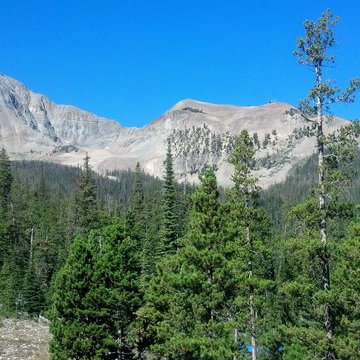 Log Cabin