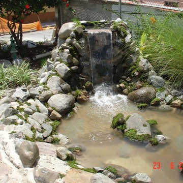 Biological Koi Ponds