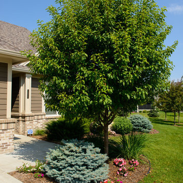 Planting Design and Plant Combinations