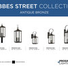 Progress P550004-020 Gibbes Street - Three Light Outdoor Hanging Lantern