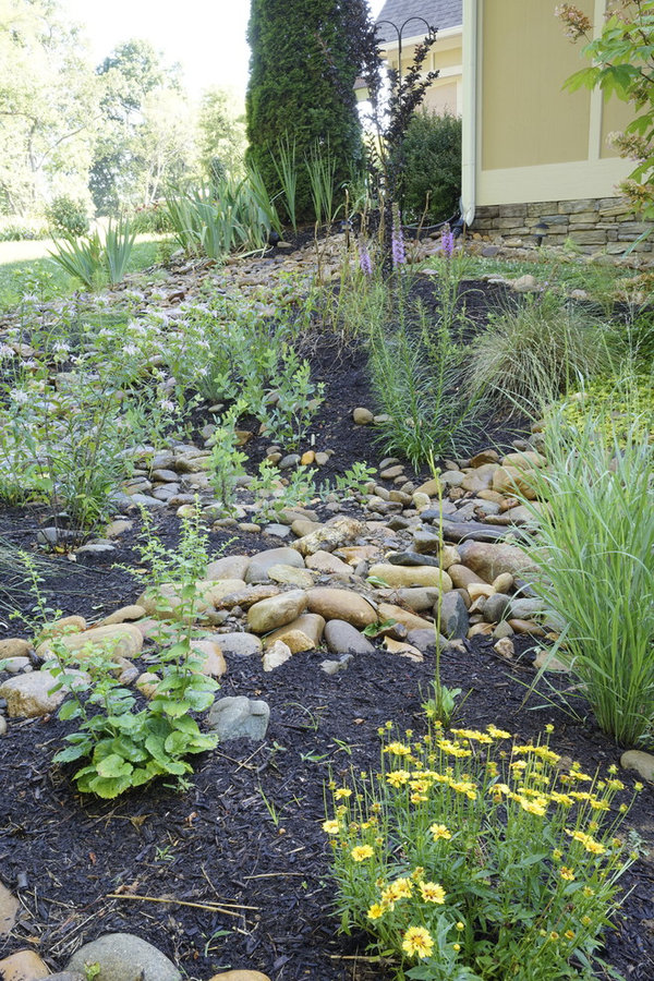 French Broad Rain Garden