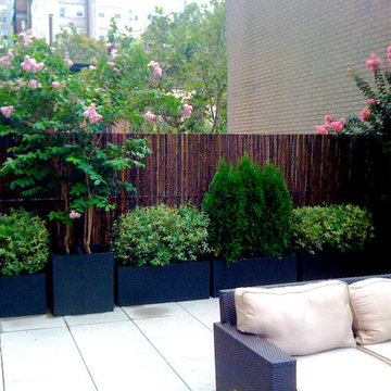 NYC Roof Garden: Bamboo Fence, Terrace Deck, Paver Patio, Container Plants, Sofa
