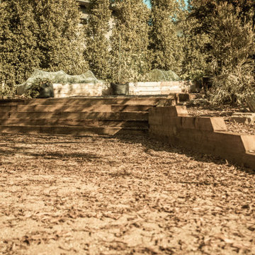 Timbers integrated into natural landscape