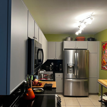 Modern Kitchen Remodel Done in a Slim Shaker Door