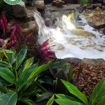 Waterfalls Central Florida, Orlando, (FL)