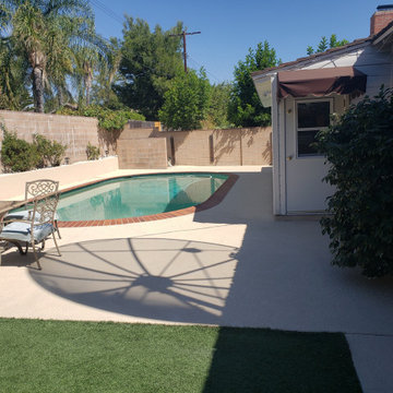 Backyard clean up and remodel