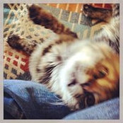Suzy Rust's photo