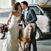 Heather Beddoe's photo