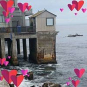Janette Lamb's photo
