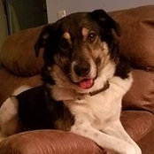 Laura Demko Shail's photo