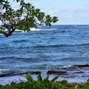 Tim Heitman's photo