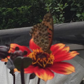 R K's photo