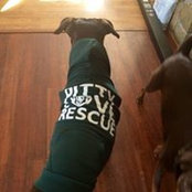 Mary Kretsch's photo