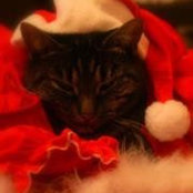 Brenda Hagers's photo