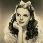 David Goldsteins foto