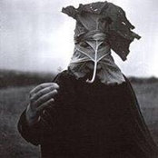 Jason Mclean's photo