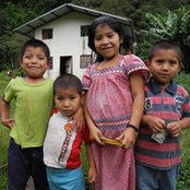 Cindy Verner's photo