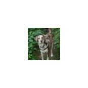 Mark Sanders's photo
