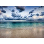 Heidi Hahn's photo