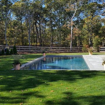 Gray Plaster Pool Collaboration