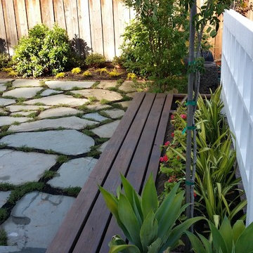 Willow Glen's Blue Stone Project