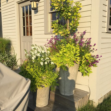 Planters & WIndow Boxes