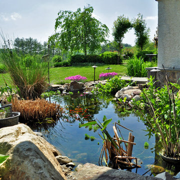 Back Yard Water Garden