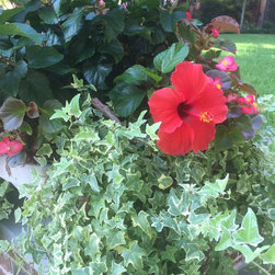 Planted containers - Outdoor Products