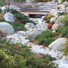 Dry Stream