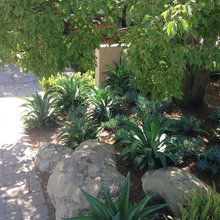 landscape ideas