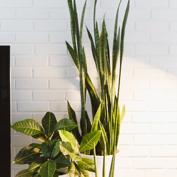 My Houzz: Minimalist, Clean and Collected Mid-Century Modern Home in Chicagoland
